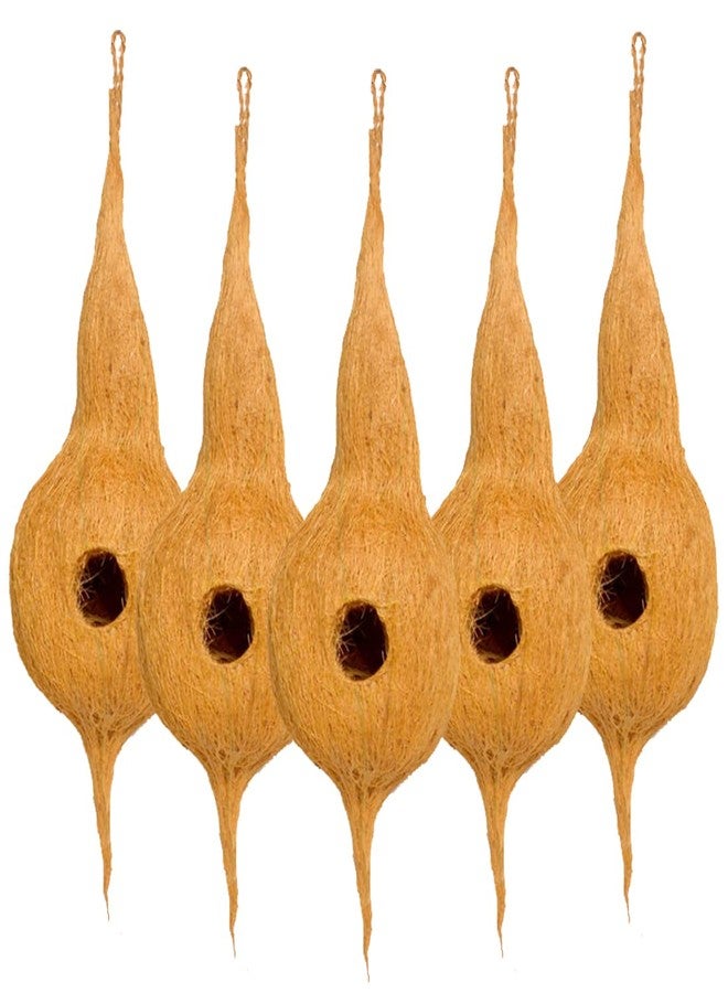 DealFry Handmade Hanging Bird Nest with Single Hole Made of Natural Coir Fiber Coconut Shell, Hanging Bird Nest for Cage and Balcony Birds Sparrows Finches Breeding (Brown | Medium) - (Set-5) - Image 1